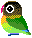 birdylook